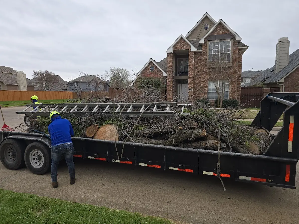Expert Tree Fertilization with proper safety equipment in Cosby